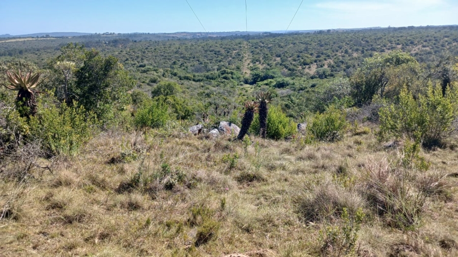 Commercial Property for Sale in Bathurst Rural Eastern Cape